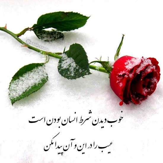 عیب دیگران را گفتن.